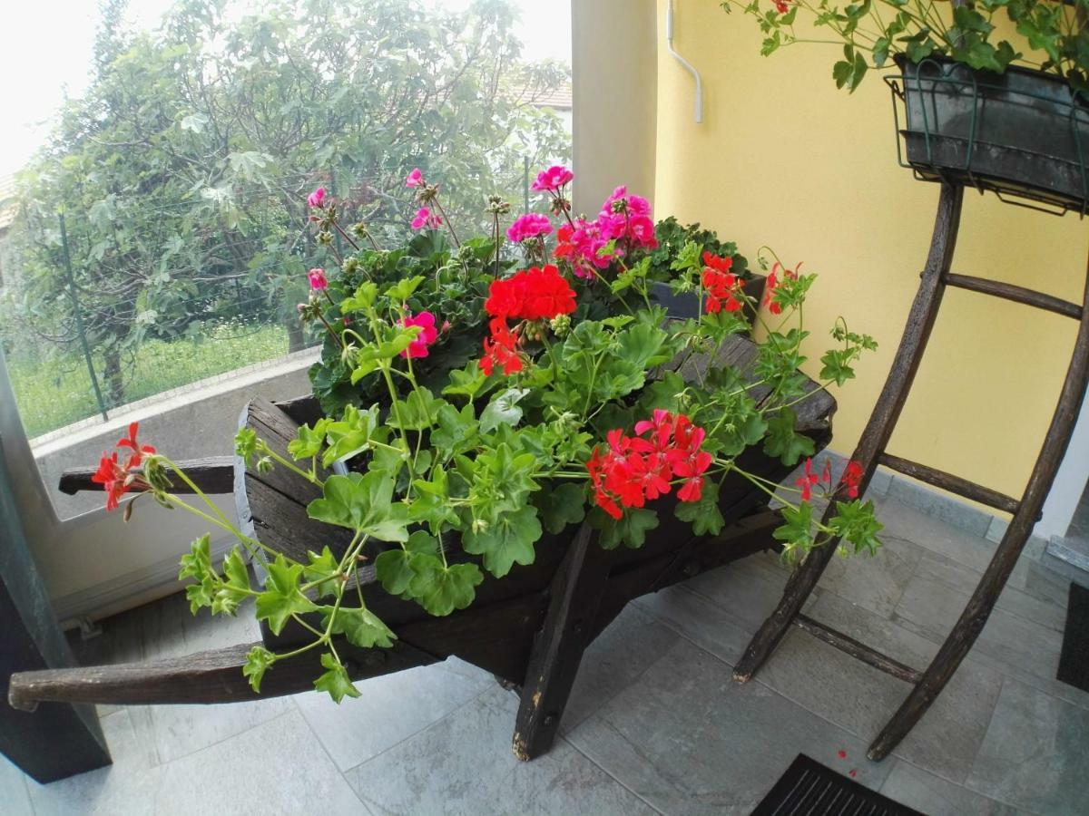 B&B Guglielmina Quarna Sotto Екстериор снимка