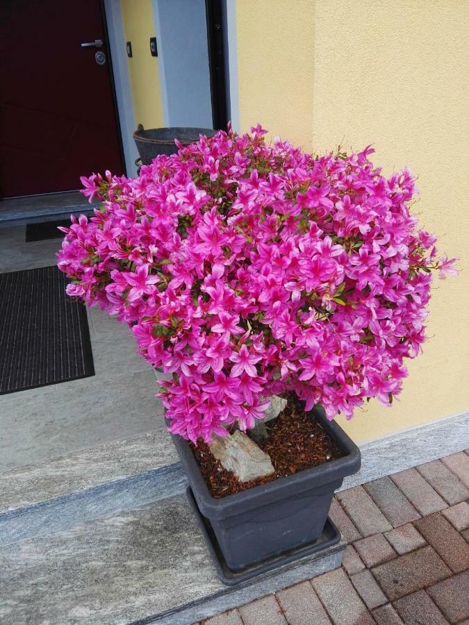 B&B Guglielmina Quarna Sotto Екстериор снимка