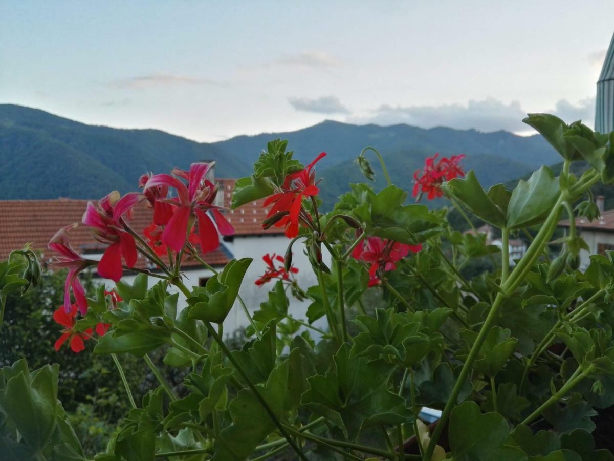 B&B Guglielmina Quarna Sotto Екстериор снимка